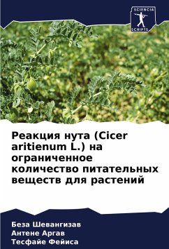 Reakciq nuta (Cicer aritienum L.) na ogranichennoe kolichestwo pitatel'nyh weschestw dlq rastenij - Shewangizaw, Beza;Argaw, Antene;Fejisa, Tesfaje