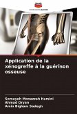 Application de la xénogreffe à la guérison osseuse