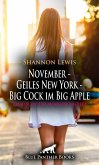 November - Geiles New York - Big Cock im Big Apple   Erotische Urlaubsgeschichte (eBook, ePUB)
