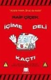 Icime Deli Kacti