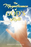 The Magnificence of God's Light (eBook, ePUB)