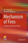 Mechanism of Fires (eBook, PDF)