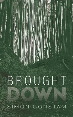 Brought Down - Constam, Simon