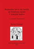 Recherches sur le site fortifié de Strasbourg durant l'Antiquité tardive