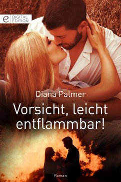 Vorsicht, leicht entflammbar! (eBook, ePUB) - Palmer, Diana