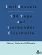 196 Tage auf treibender Eisscholle - Bild 1