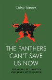 The Panthers Can't Save Us Now (eBook, ePUB)