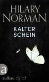 Kalter Schein (eBook, ePUB)