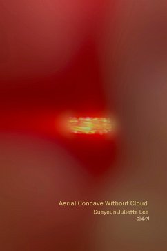 Aerial Concave Without Cloud (eBook, ePUB) - Lee, Sueyeun Juliette