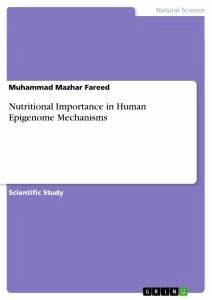 Nutritional Importance in Human Epigenome Mechanisms
