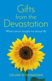 Gifts from the Devastation (eBook, ePUB)