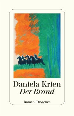 Der Brand (Mängelexemplar) - Krien, Daniela