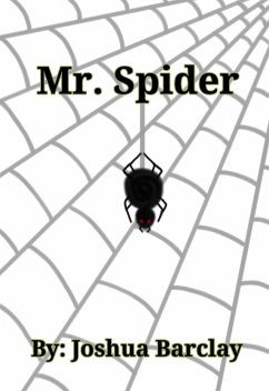 Cover Mr. Spider (eBook, ePUB)