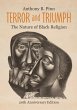 Terror and Triumph (eBook, ePUB) - Bild 1