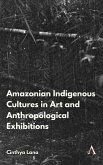 Amazonian Indigenous Cultures in Art and Anthropological Exhibitions (eBook, ePUB)