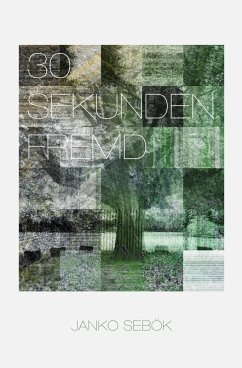 30 Sekunden fremd (eBook, ePUB) - Sebök, Janko
