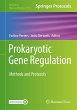 Prokaryotic Gene Regulation - Bild 1