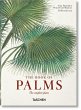 Martius. The Book of Palms - Bild 1