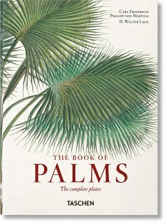 Martius. The Book of Palms - Lack, H. Walter