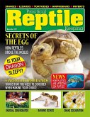 Practical Reptile Keeping - November 2021 (eBook, ePUB)