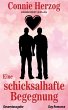 Eine schicksalhafte Begegnung (eBook,... - Bild 1