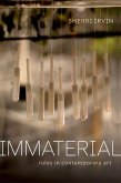 Immaterial (eBook, PDF)