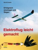 Elektroflug leicht gemacht (eBook, ePUB)