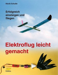 Elektroflug leicht gemacht (eBook, ePUB) - Schulte, Hinrik