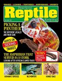 Practical Reptile Keeping - December 2021 (eBook, ePUB)