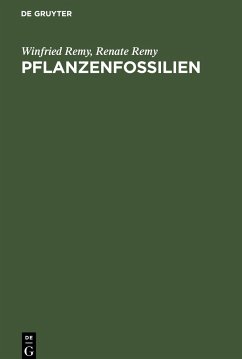 Pflanzenfossilien - Remy, Renate; Remy, Winfried