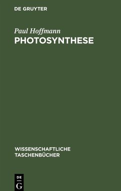 Photosynthese - Hoffmann, Paul