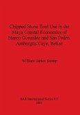 Chipped Stone Tool Use in the Maya Coastal Economies of Marco Gonzalez and San Pedro, Ambergris Caye, Belize