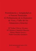 Protohistoria y Antigüedad en el Sureste Peninsular. El Poblamiento de la Depresión de Vera y Valle del río Almanzora (Almería)