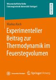Experimenteller Beitrag zur Thermodynamik im Feuerstegvolumen (eBook, PDF)