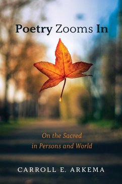 Poetry Zooms In (eBook, ePUB)