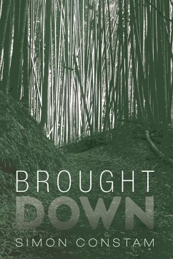 Brought Down (eBook, ePUB)