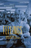 Feelings and Work in Modern History (eBook, PDF)