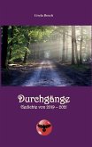 Durchgänge (eBook, ePUB)