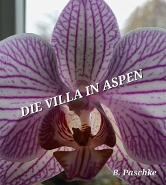 Die Villa in Aspen (eBook, ePUB)