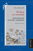 El bien en cuestión (eBook, ePUB) El bien en cuestión (eBook, ePUB)