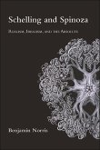 Schelling and Spinoza (eBook, ePUB) Schelling and Spinoza (eBook, ePUB)