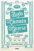 Buda Cikmaza Girerse