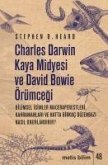 Charles Darwin Kaya Midyesi ve David Bowie Örümcegi