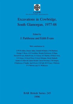 Excavations in Cowbridge, South Glamorgan, 1977-1988