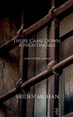 There Came Down A Nightingale and other poems