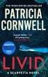 Livid (eBook, ePUB) - Bild 1