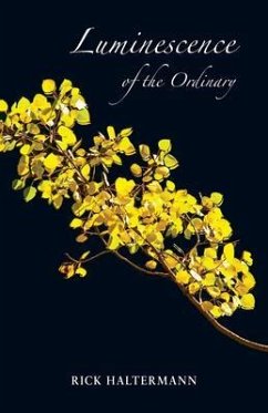 Luminescence of the Ordinary (eBook, ePUB) - Haltermann, Rick