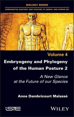 Embryogeny and Phylogeny of the Human Posture 2 (eBook, PDF) - Dambricourt Malasse, Anne