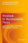 Workbook for Macroeconomic Theory