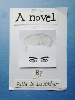 Cover Most of a Novel (eBook, ePUB)